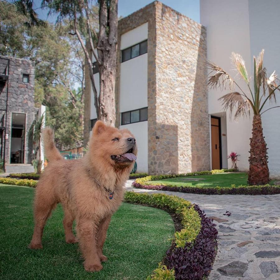 Hotel Boutique Camino Del Bosque By Rotamundos Cholula Exteriér fotografie