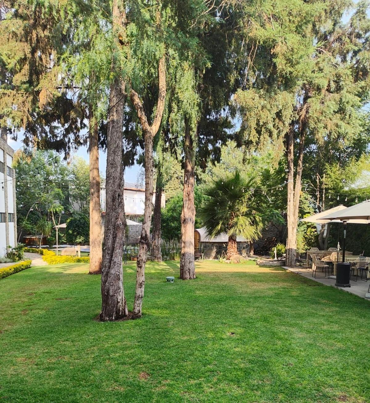 Hotel Boutique Camino Del Bosque By Rotamundos Cholula Exteriér fotografie